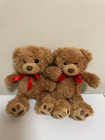 브라운 곰 봉제 인형 2마리