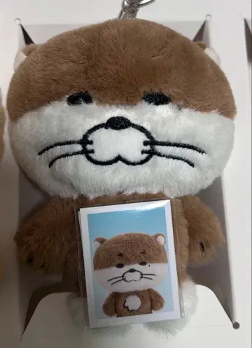 보넥도 BBNEXDO 푸넥도 마스코트 키링 리우 달링