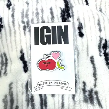 IGIN 핀 배지