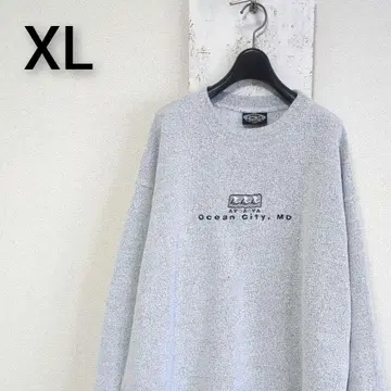 USA제 EXIST 파일 원단 맨투맨 트레이닝복 그레이 XL