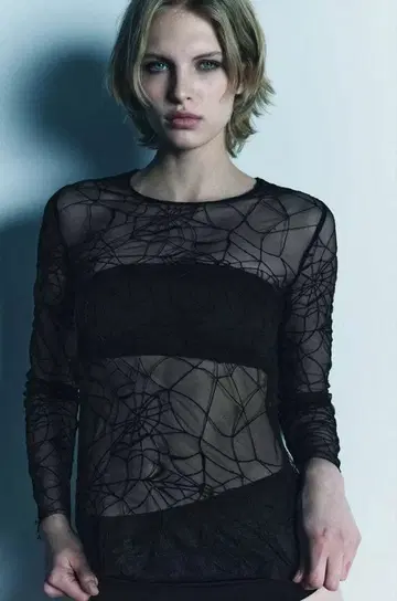 택 포함 새상품 ZARA 거미줄 패턴 시어 탑 리미티드 에디션 XS