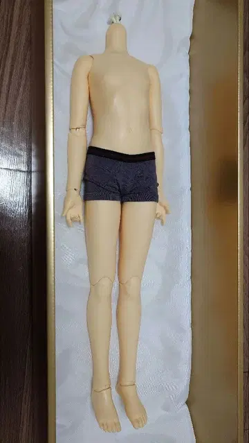 슈퍼돌피 SD 남아 바디 보통 피부 롱 레그