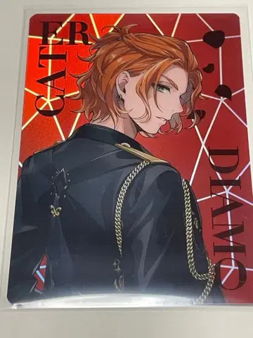 트위스테 브레이징 주얼 팝업 오로라 카드 케이트