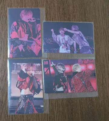 우라타누키 포토 카드 4장 세트