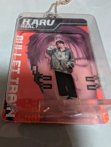 초특급 REAL? 블리스터 키링 하루