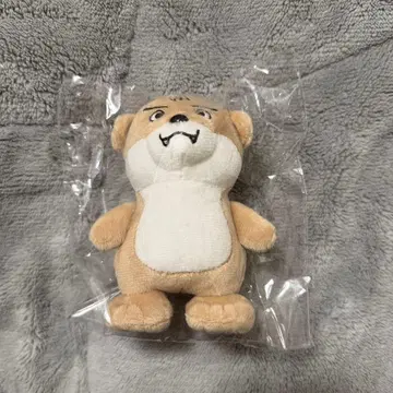 사와우소 군 사와무라 레이 탄생