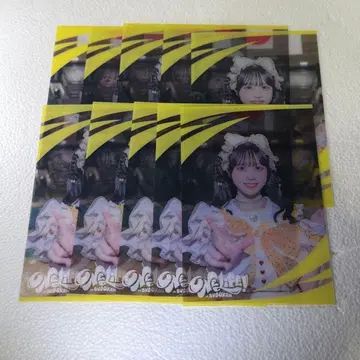 후쿠마루 우사 클리어 카드 10장 세트