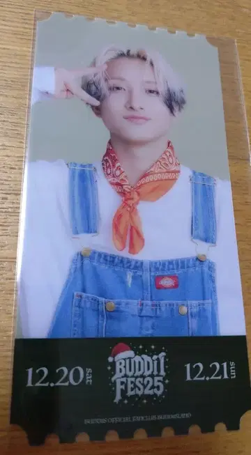 버디 페스티벌!! 클리어 픽처 티켓 FUMIYA