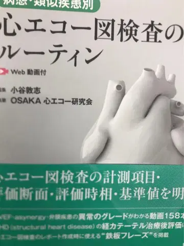 심장 초음파 검사의 루틴