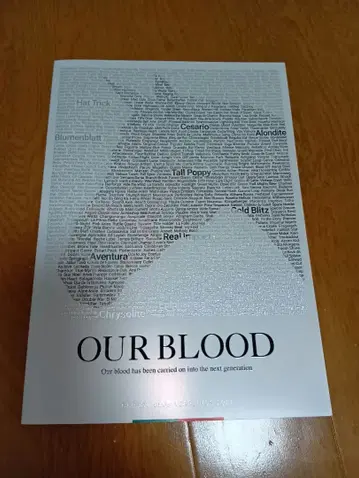 캐롯 클럽 모집마 카탈로그 2021