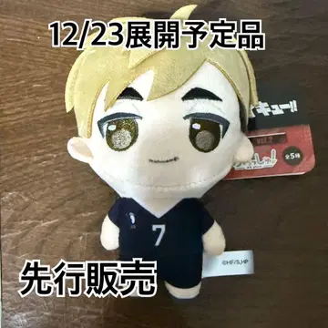 푸칫슈! 하이큐 미야 아츠무 봉제 인형 마스코트 키링