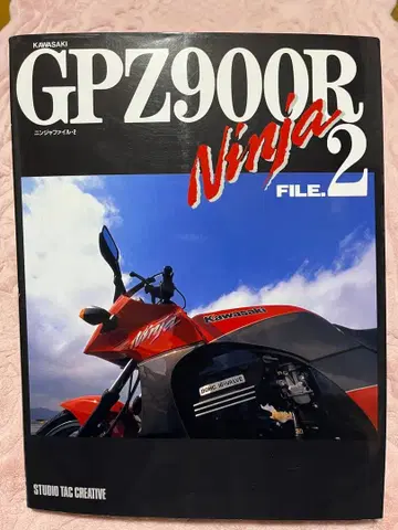 Kawasaki GPZ900R Ninja FILE.2