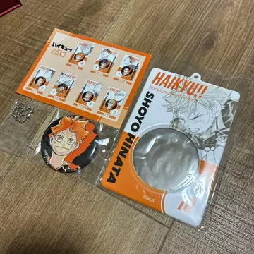 하이큐 히나타 쇼요 캔뱃지 특제 홀더