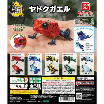 전종 생물대도감 쁘띠 독개구리