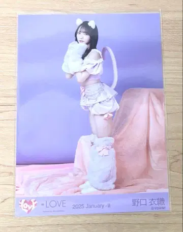 =LOVE 이코라브 노구치이오리 7주년 고양이 의상 히키 브로마이드