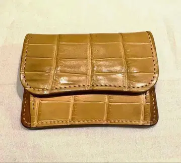 와일드 스완스 텅 2025 CROCODILE / TONGUE(FP)