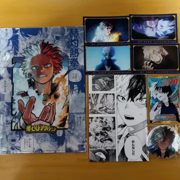 히로아카 토도로키 쇼토 묶음 판매