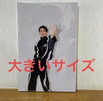 키도페노 야마모토 코타 패널