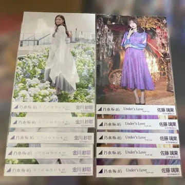 노기자카46 카나가와 사야 사토 리카 개별 브로마이드 묶음 판매