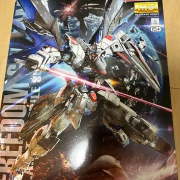 MG ZGMF-X10A 프리덤 건담 Ver.2.0