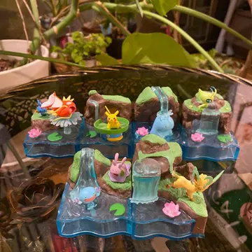 신비의 샘 포켓몬 컴플리트