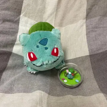 이상해씨 보송보송 보아 봉제 인형 테라리움 묶음 판매 포켓몬 굿즈