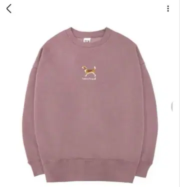 saucy dog 트레이닝복