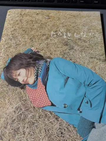 타베루키 시나이 아야세 하루카 팜플렛 전단지