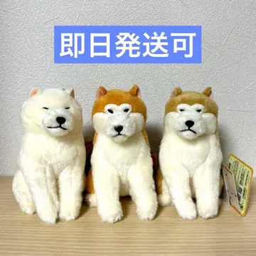 포근한 아키타견 하치베 LMC 하치베 포카마루 유키베 마스코트