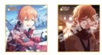 프로세카 색지 53c 시노노메 아키토