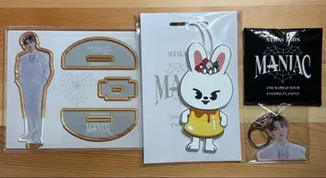 straykids MANIAC leebit 리빗