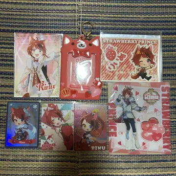 스토푸리 리이누 묶음 판매