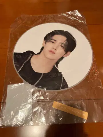 SEVENTEEN S.Coups 승철 부채 follow