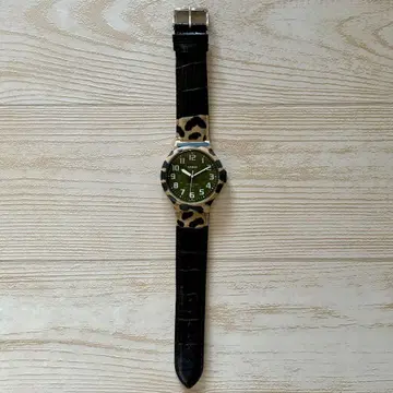 카시오 스탠다드 사파리