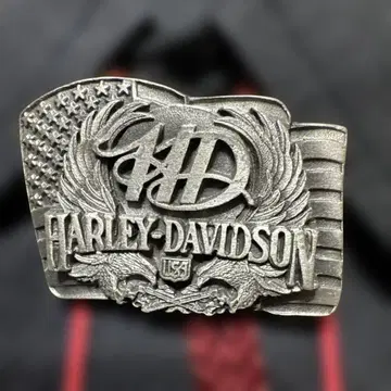 할리데이비슨 이글 디자인 루프 타이 빈티지 보로 타이