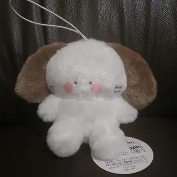 새상품 뽀뽀마루즈 PoPomals 마스코트 봉제 인형 강아지