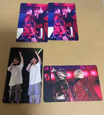 우라시마사카타센 여름 투어 2025 우라타누키 시마 아호노사카타.