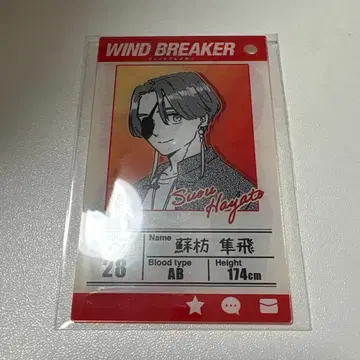 윈블 소방 준히 프로필 카드 키링