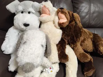 개 모양 봉제 인형 세트