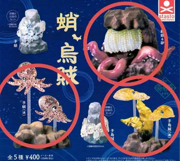 문어 오징어 3세트