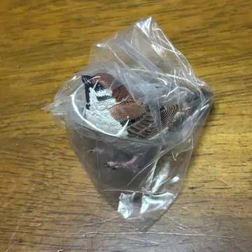 네이처 테크니컬러 일본의 생물 참새