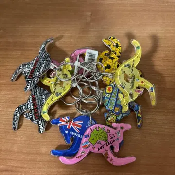 오스트리아 기념품 키링 10개