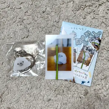 조세마루 POPUP 그림 전시 아크릴 키링 체키풍 카드 마루코로