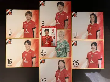 우라와 레즈 여성용 색지