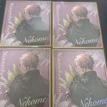 브라스 고양이 눈