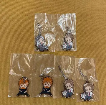 데포라바! 하이큐 히나타 쇼요 야쿠 모리스케 리에프