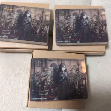 시라이시 안 노블 아트 66