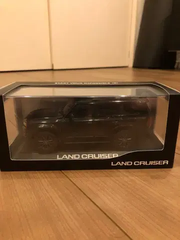 랭크루 250 미니카 ZX 블랙