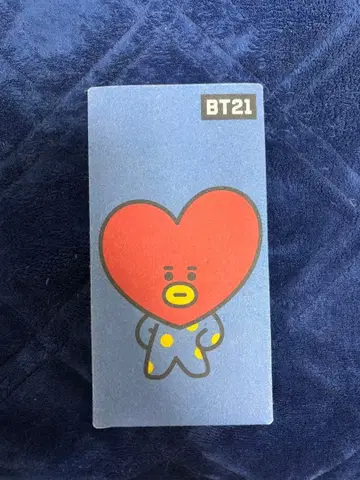 BTS BT21 타타 티켓 홀더 파일