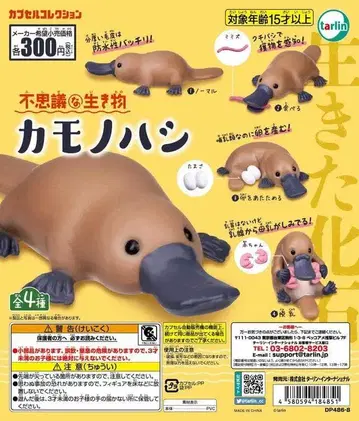 신비한 생물 오리너구리 총 4종 컴플리트 세트